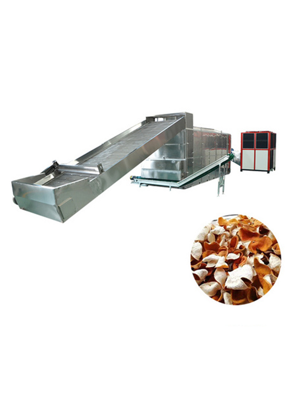 陳皮烘干機(jī)